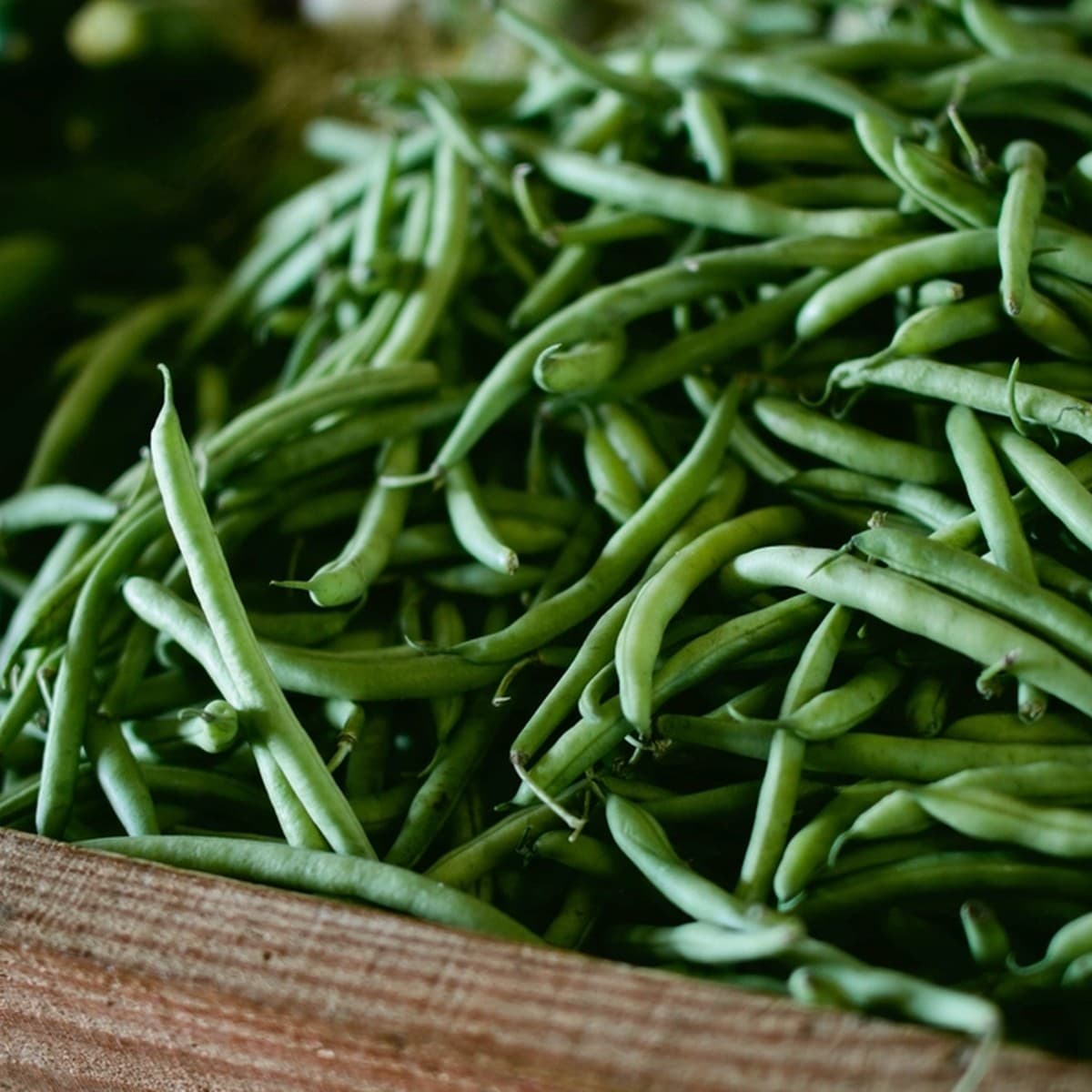 Green Beans