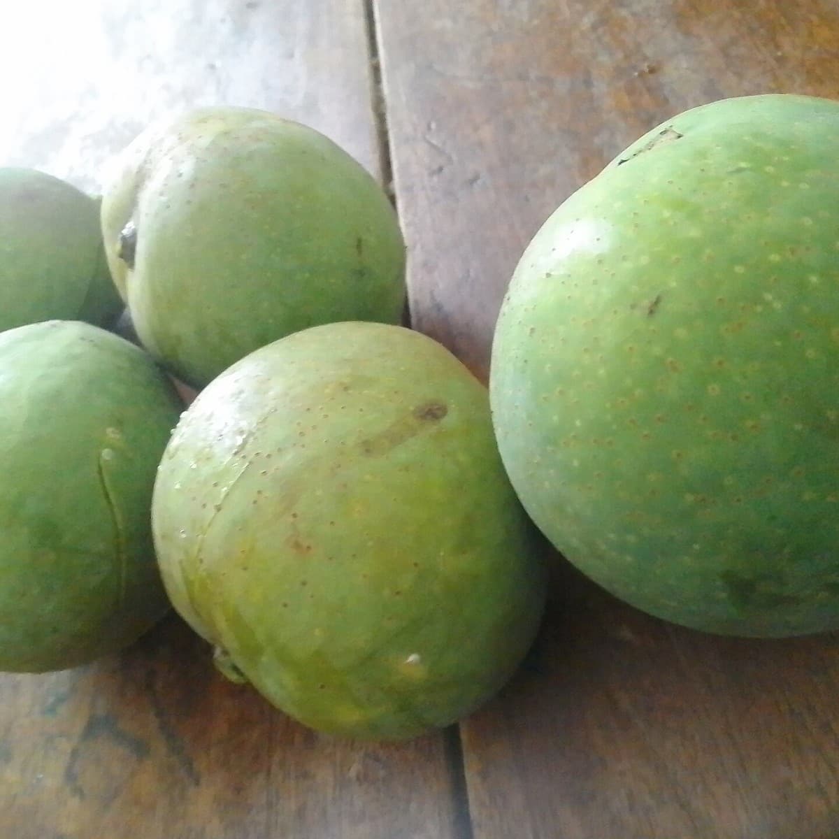 Mangoes