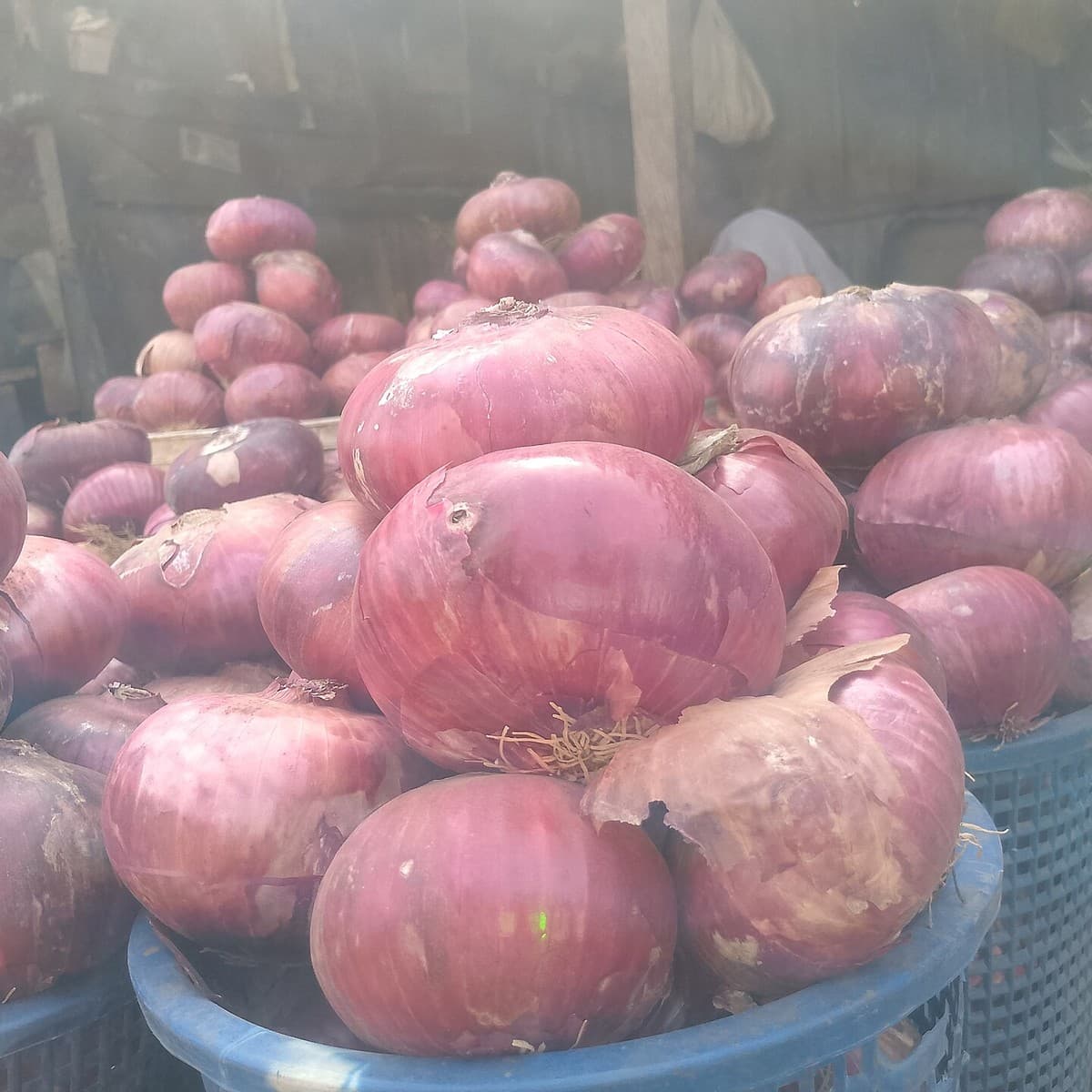 Onions