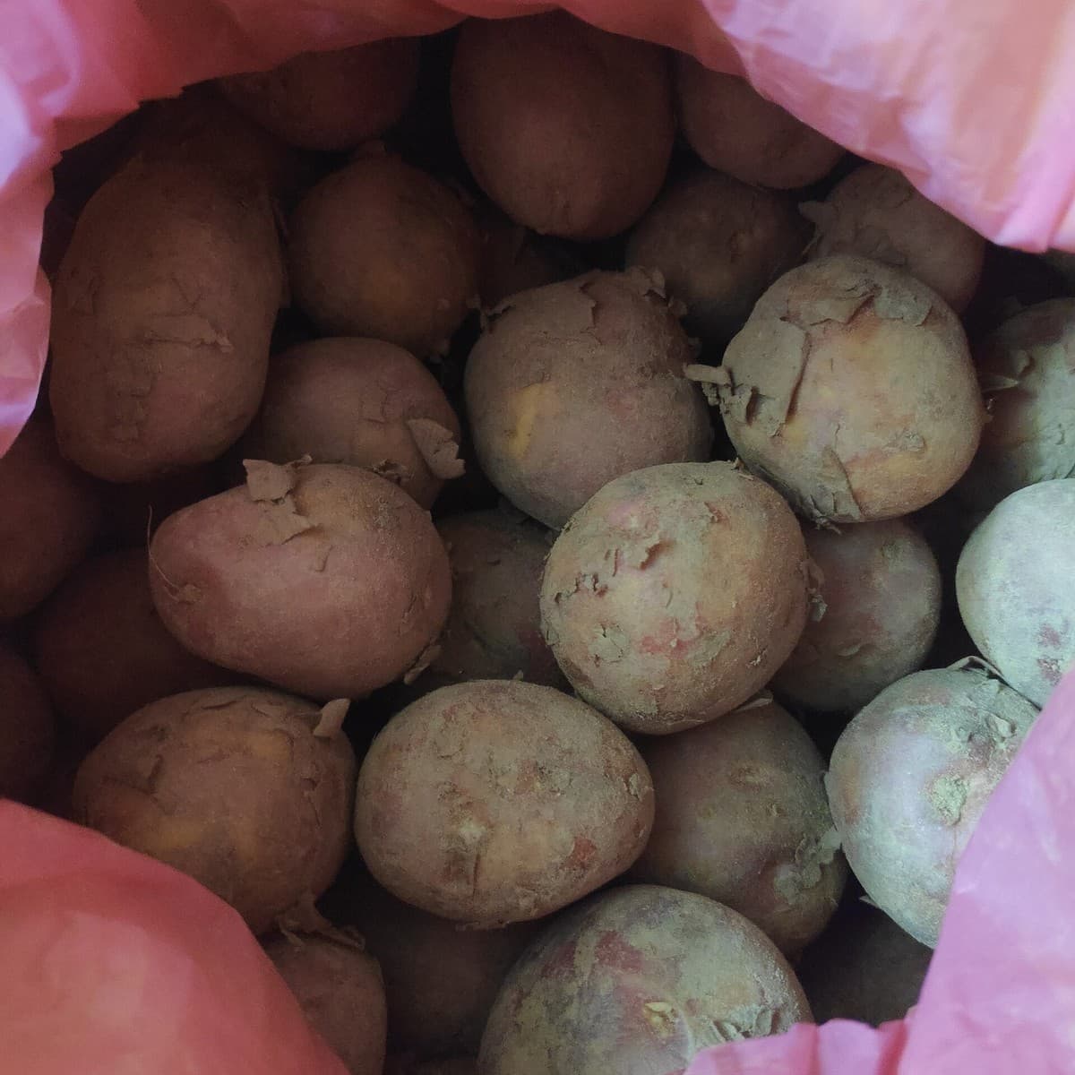 Potatoes