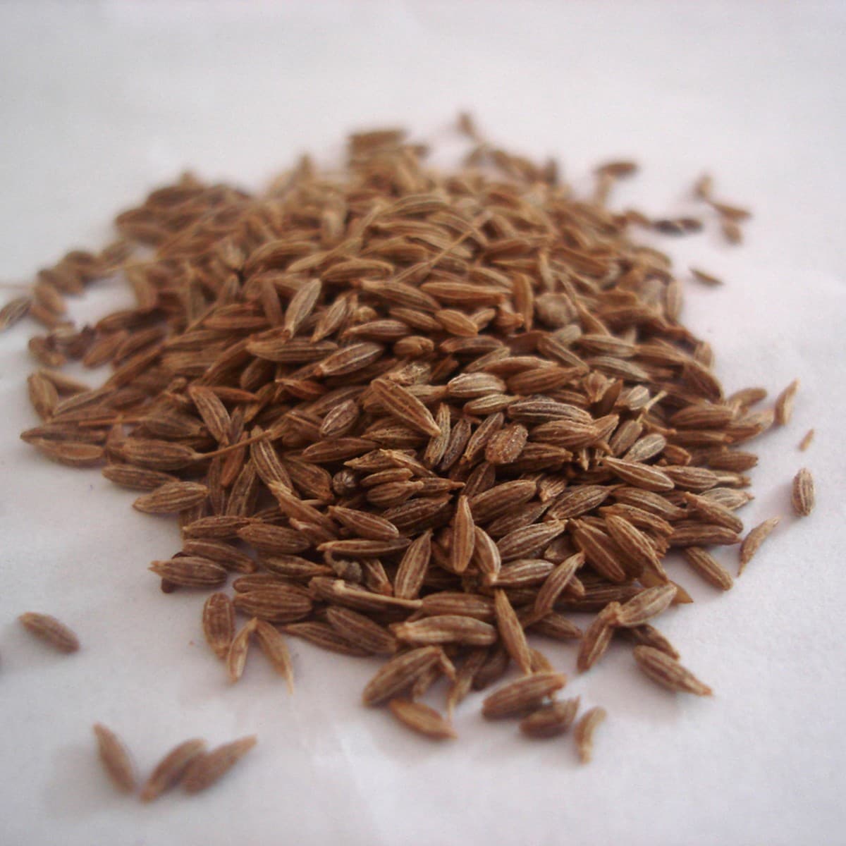 Cumin Seeds 100g